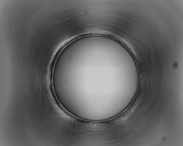 X0000100750987200806190819