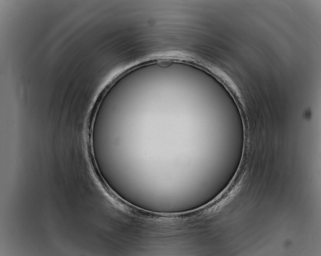 X0000100750989200806190819
