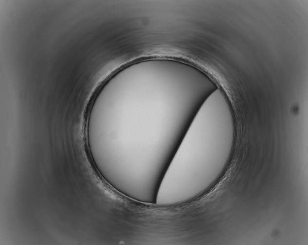 X0000100750990200806190819