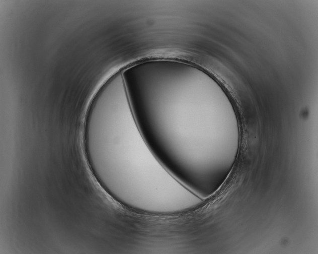 X0000100750992200806190819