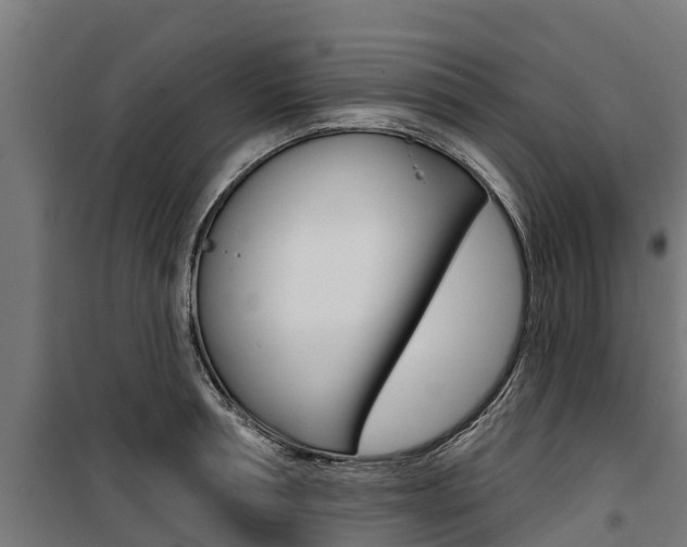 X0000100750994200806190818