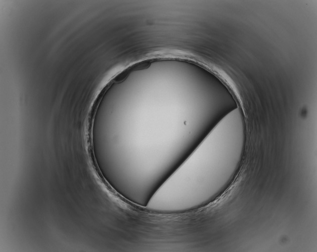 X0000100750997200806190818