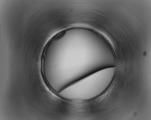 X0000100750999200806190818