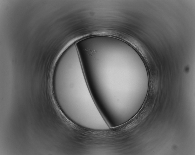 X0000100751000200806190818