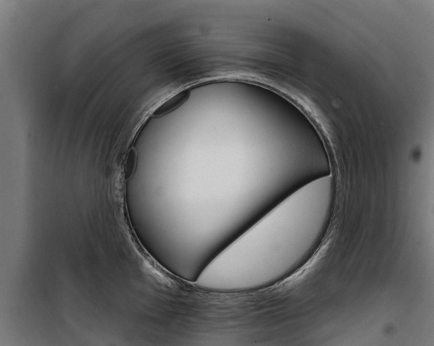 X0000100751001200806190818