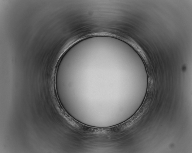 X0000100751002200806190818