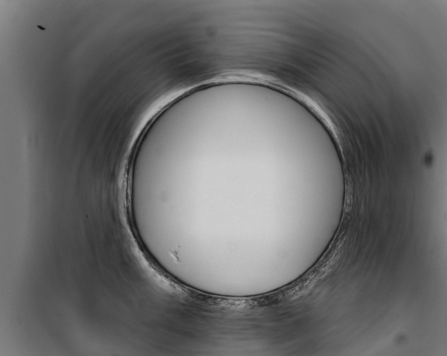 X0000100751003200806190818