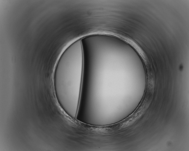 X0000100751004200806190818