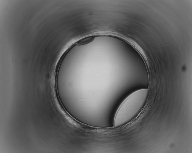 X0000100751005200806190818