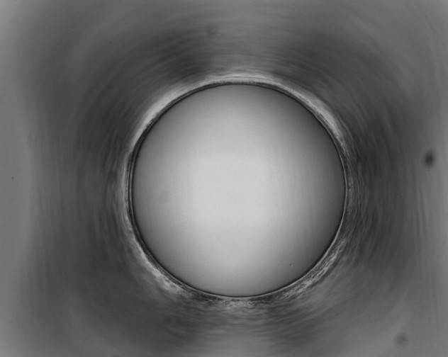 X0000100751006200806190818