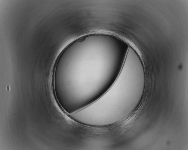 X0000100751007200806190818