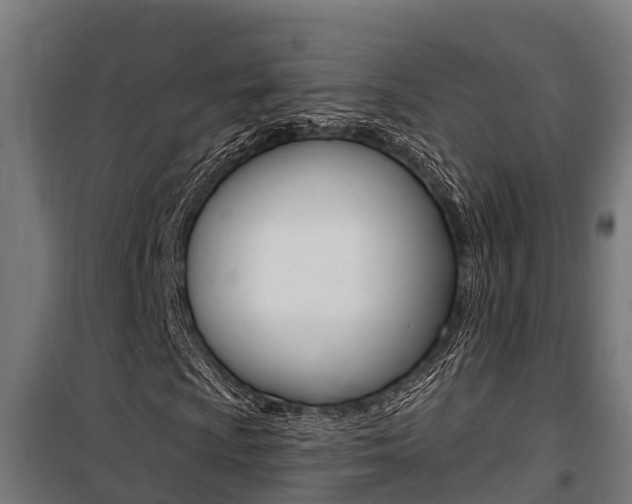 X0000100751009200806190817