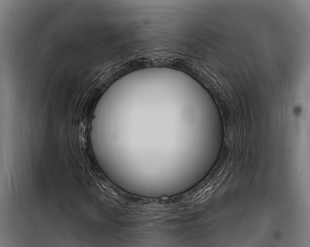 X0000100751010200806190817