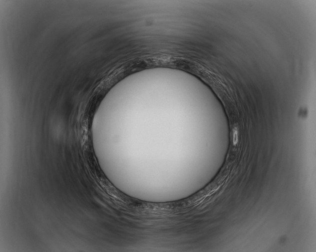 X0000100751011200806190817