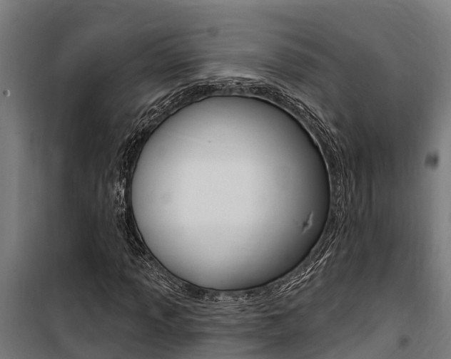 X0000100751013200806190818