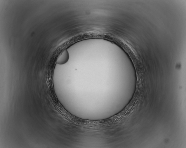 X0000100751015200806190818