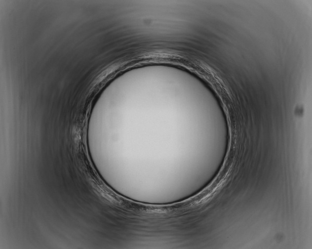 X0000100751017200806190818