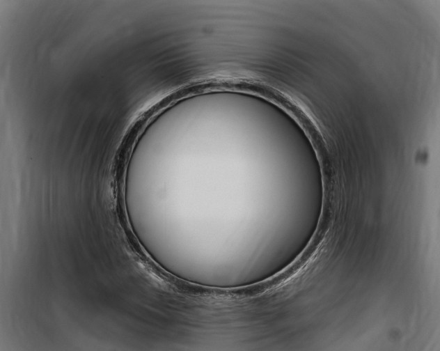 X0000100751018200806190818