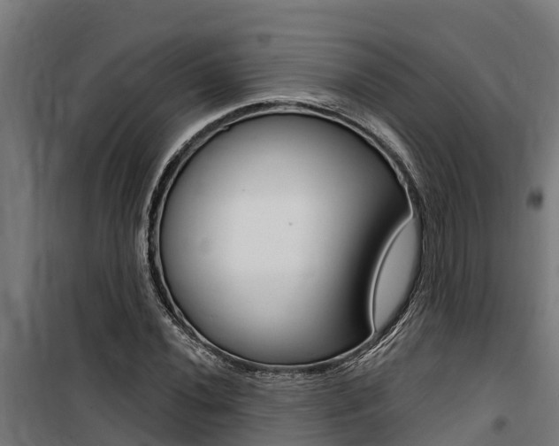 X0000100751020200806190818