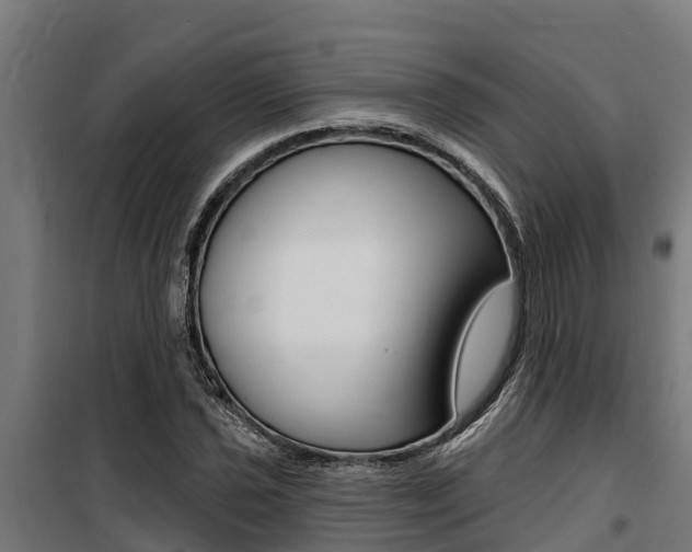 X0000100751021200806190818