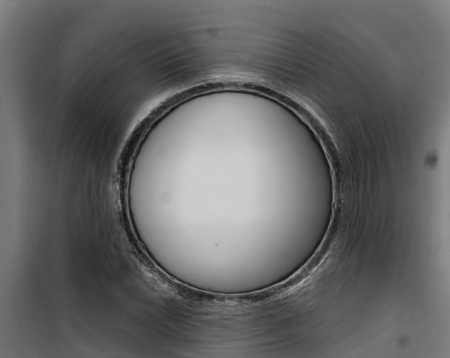 X0000100751022200806190818