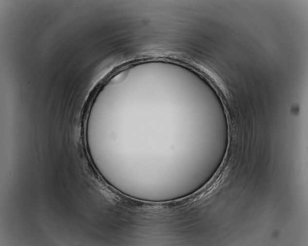 X0000100751023200806190818