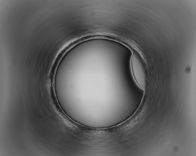 X0000100751024200806190818