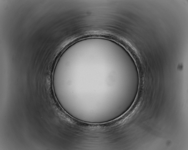 X0000100751025200806190818