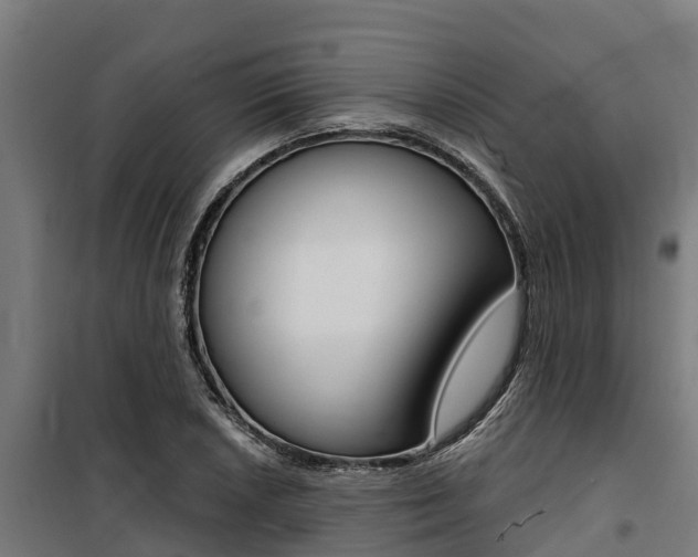 X0000100751026200806190818