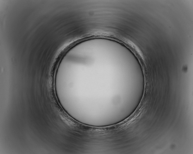 X0000100751027200806190818
