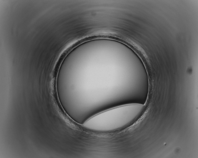 X0000100751029200806190818