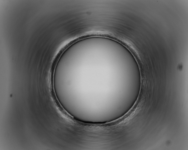 X0000100751030200806190818