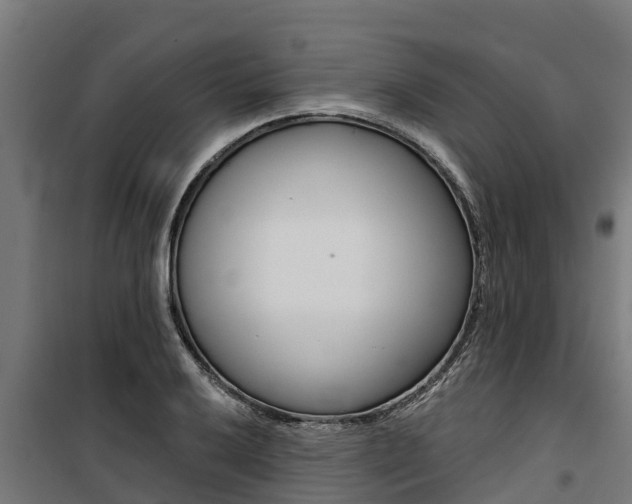 X0000100751032200806190818