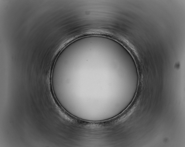 X0000100751033200806190818