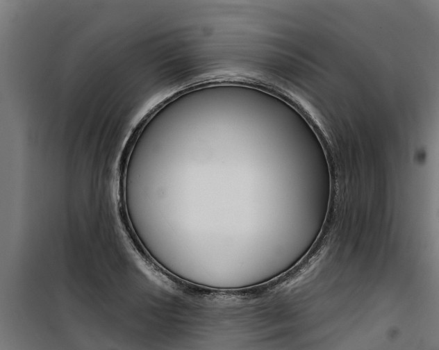 X0000100751034200806190818