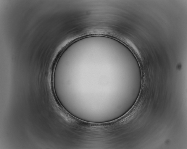 X0000100751035200806190818