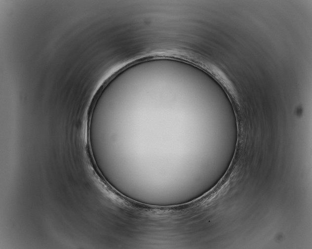 X0000100751036200806190818