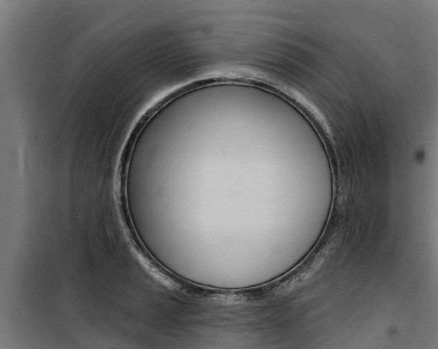 X0000100751037200806190818