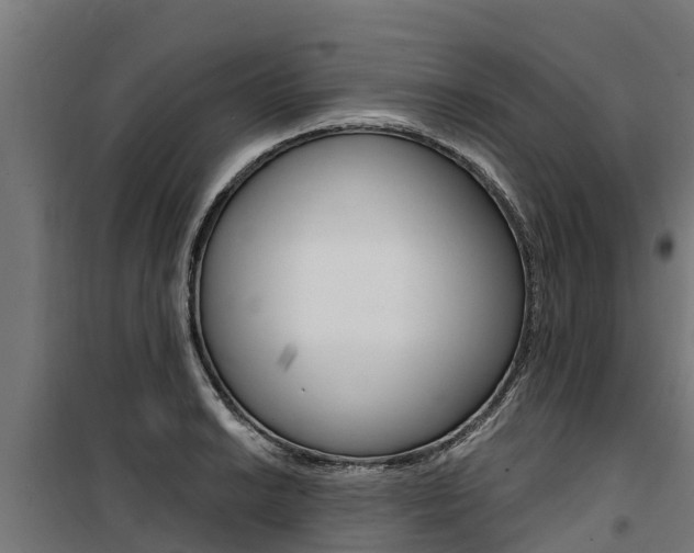 X0000100751038200806190818