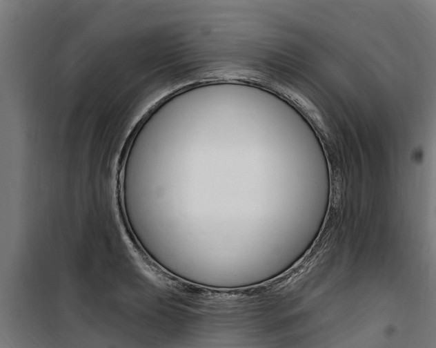 X0000100751039200806190818