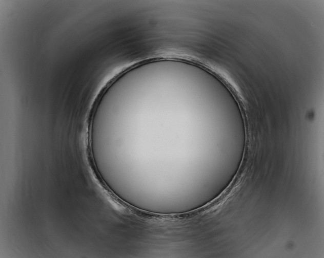 X0000100751040200806190818