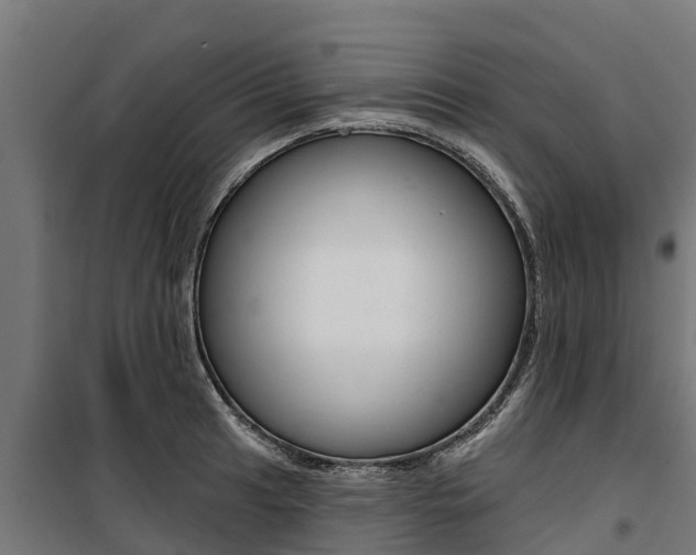 X0000100751041200806190818