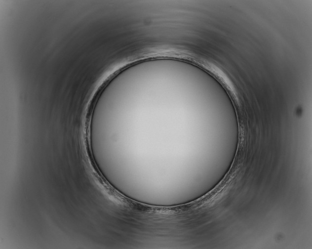 X0000100751043200806190818