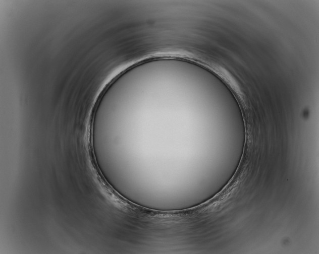 X0000100751044200806190818