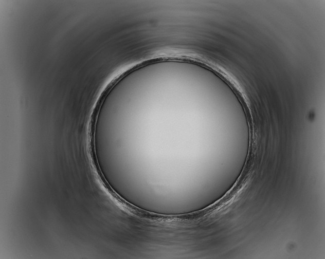 X0000100751045200806190818