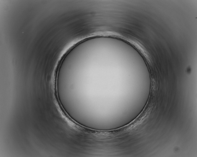 X0000100751046200806190818