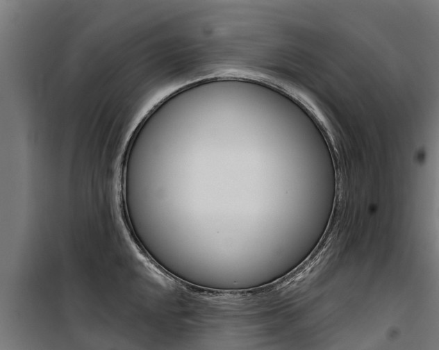 X0000100751048200806190818
