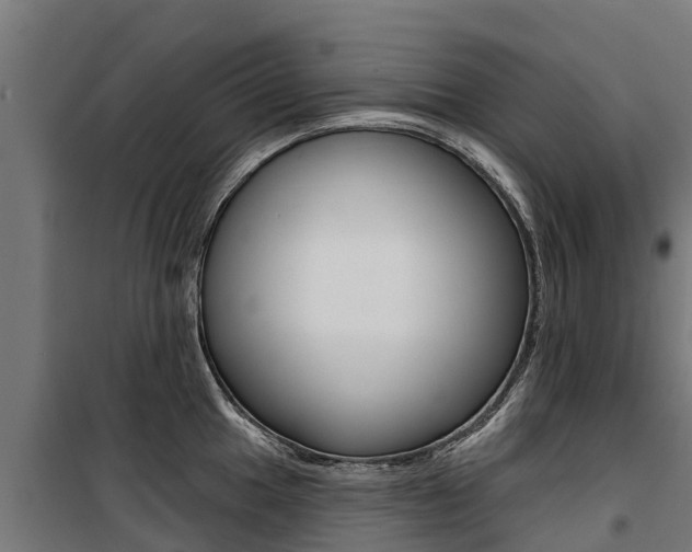 X0000100751049200806190818