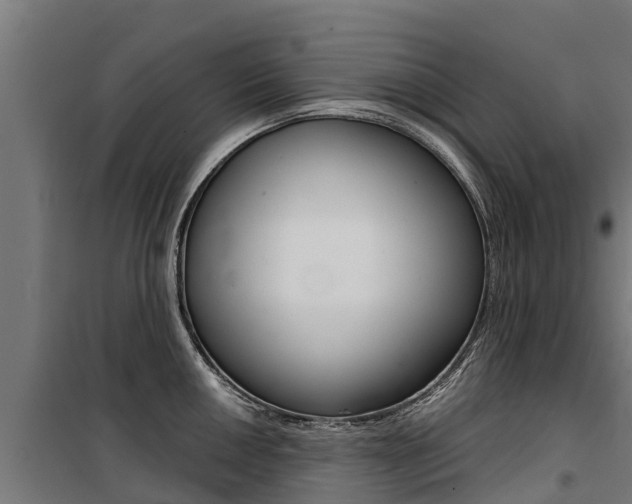 X0000100751050200806190818