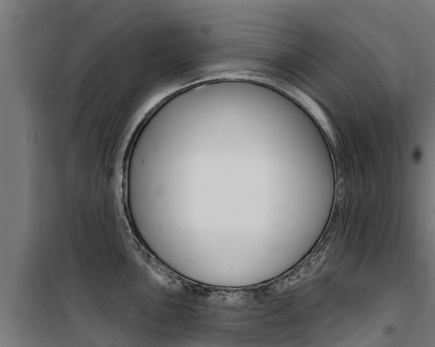 X0000100751051200806190818